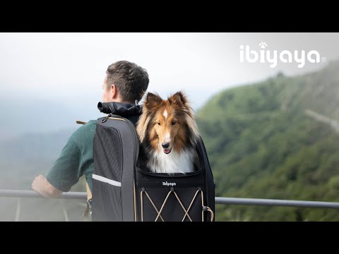 Effortlessly Carry Your Heavy Pets |Champion Medium-sized Pet Carrier Backpack