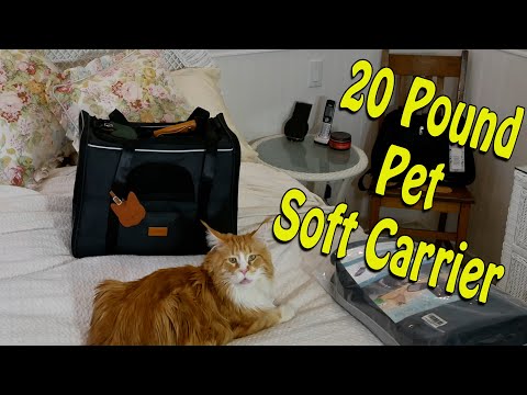 Morpilot Pet Carrier - Soft Carrier for Pets up to Twenty Pounds!
